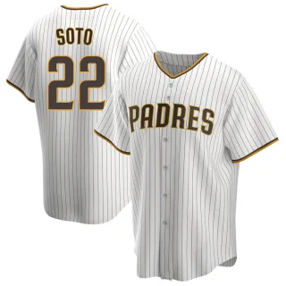 Ryan Klesko Women's San Diego Padres 2022 City Connect Jersey - White  Replica